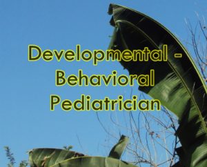 developmental behavioral pediatrician