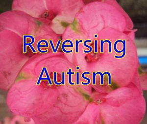 reverse autism