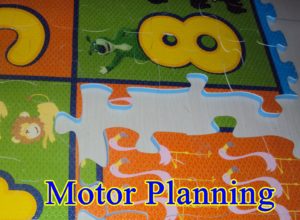motor planning
