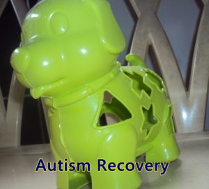 autism-recovery